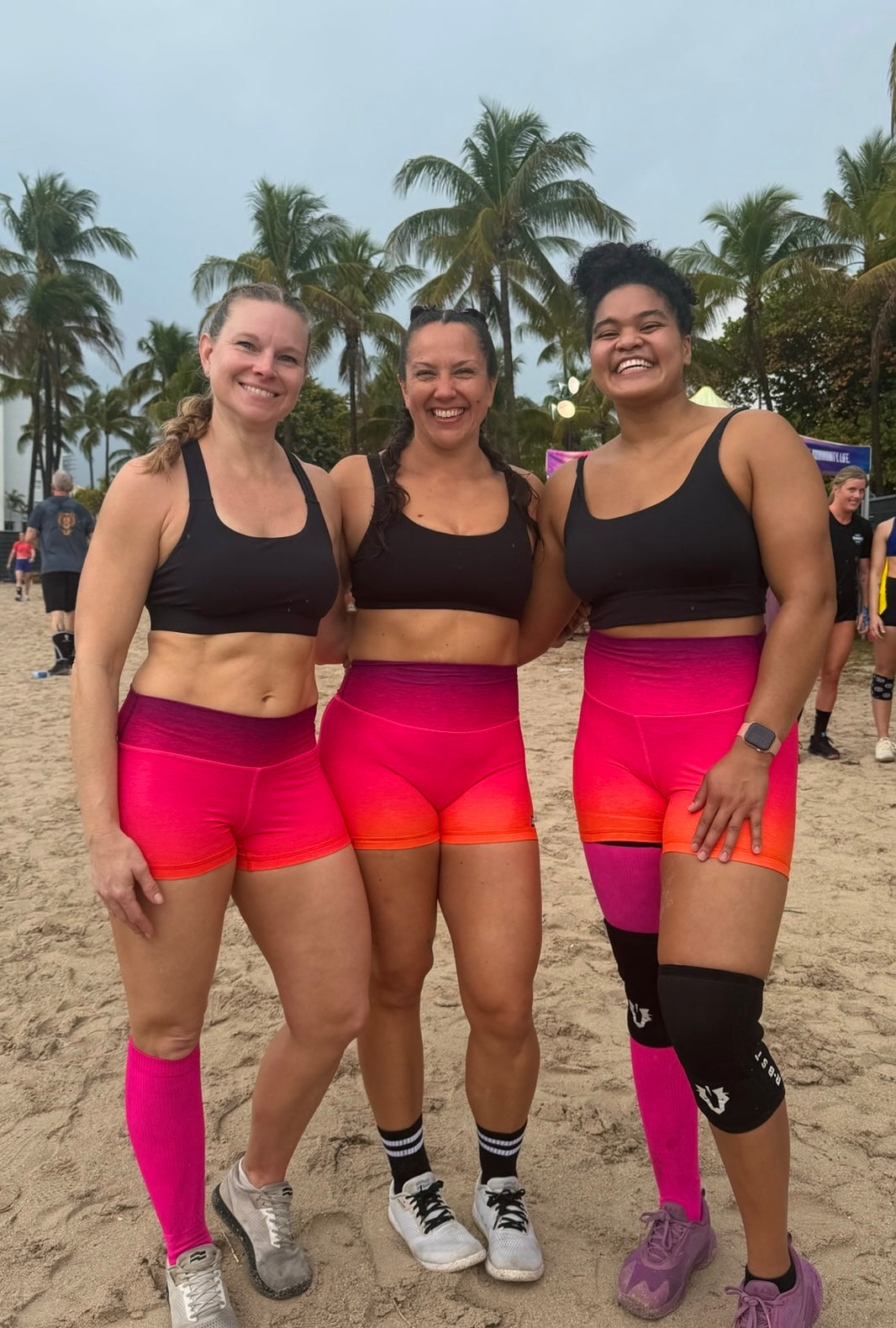 Wine Ombre Regular Hybrid Shorts No Pockets