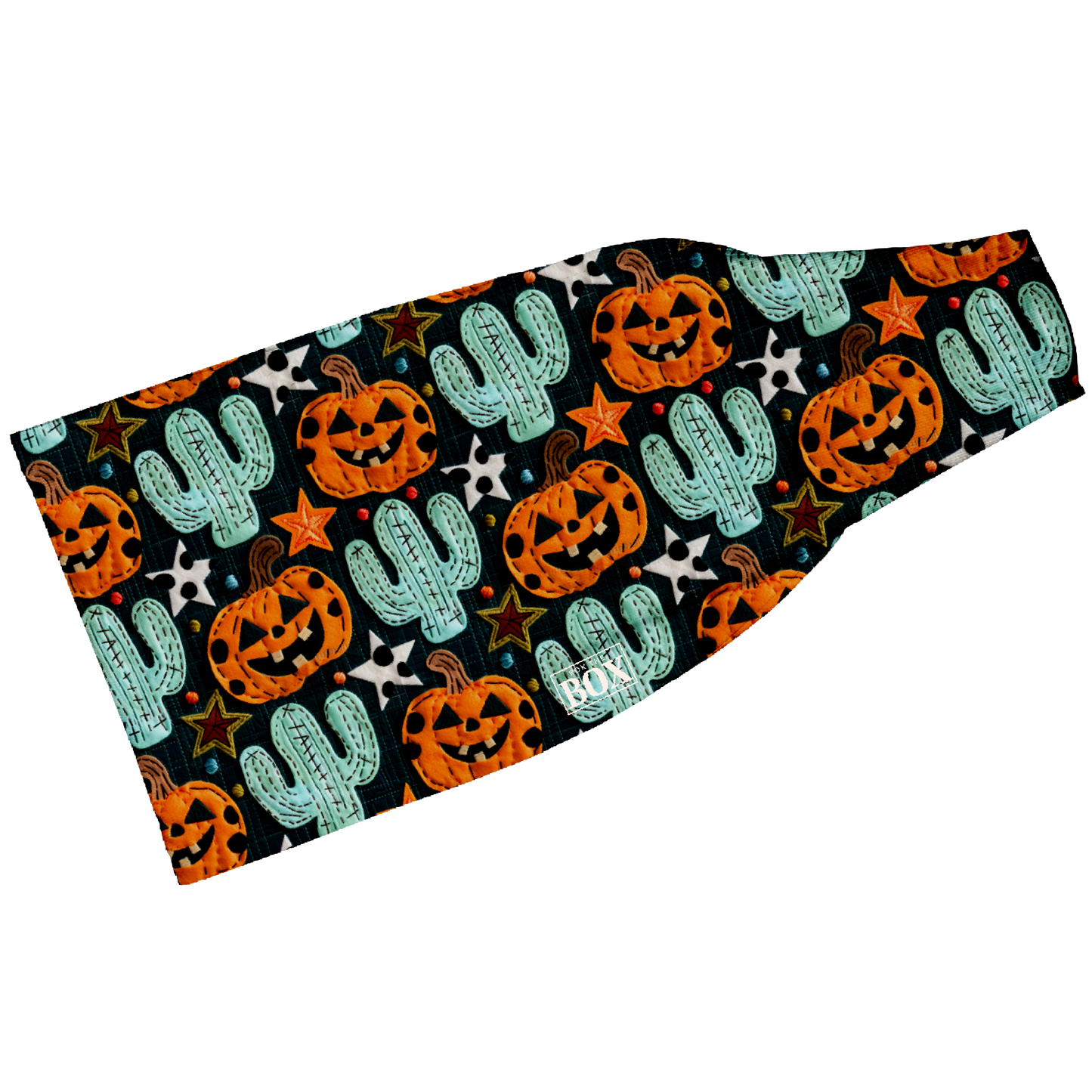 Pumpkin Cactus 4” HeadBand