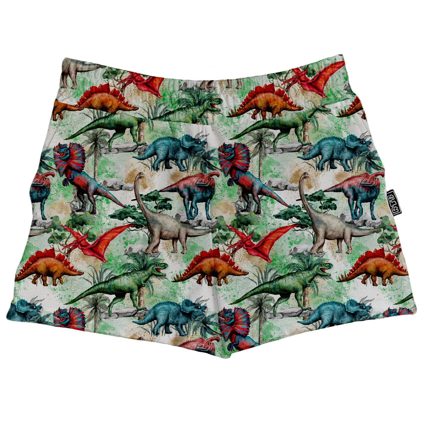 January Vol.3 Dinos Box Shorts